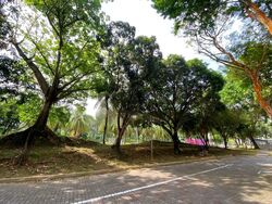 Blk 120C Rivervale Drive (Sengkang), HDB Executive #612166241